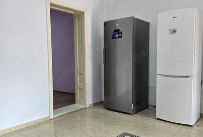 Inchiriez casa spa?ioasa 100 mp utili si 280 mp total teren zona Bulevardul Cetatii Blascovici - 3