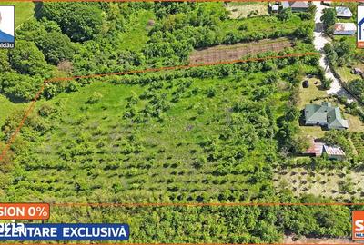 Casă cu 4 camere cu Teren 10000 Mp în Bălțești - 15