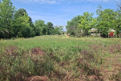 Casă cu Teren 2600 Mp în Movila Miresii - 1