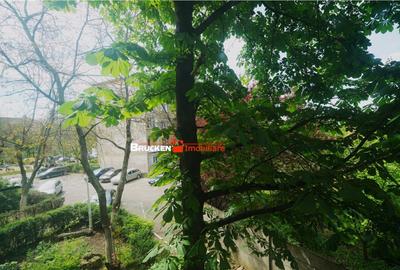 APARTAMENT 2 CAMERE | ETAJ 1 | BORSECULUI - 4