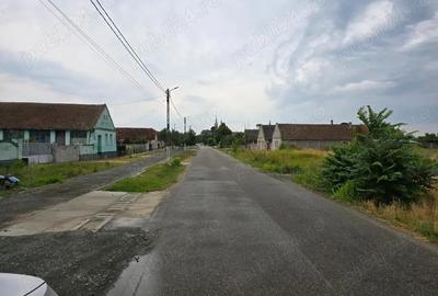 Teren intravilan parcelat constructie case Padureni in centru la 14 km de Timisoara cu utilitati Teren intravilan parcelat constructie case Padureni in centru la 14 km de Timisoara cu utilitati - 1