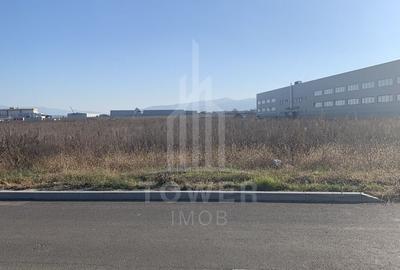 TEREN INTRAVILAN - ZONA INDUSTRIALA VEST-9000 mp, sau 18000 mp - 5