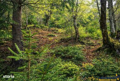 Spațiu comercial, în Central - 5