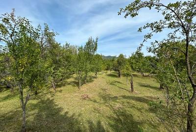 Teren intravilan Breaza - 3