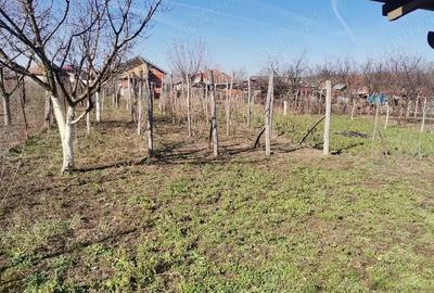 Casă cu 3 camere cu Teren 1013 Mp în Bogei - 1