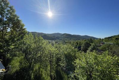 Casa de vacanta /Vila panoramica Provita de Jos - 2