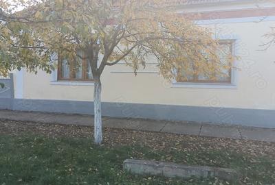 Casă cu 6 camere în Alioș - 4