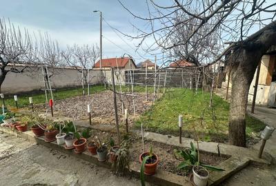 Casă individuală cu 3 camere cu Canalizare în Cugir - 10