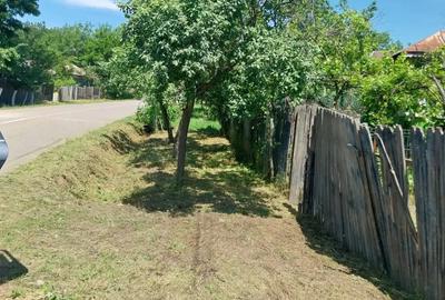 Vand casa in Teleorman, sat Albeni - 6