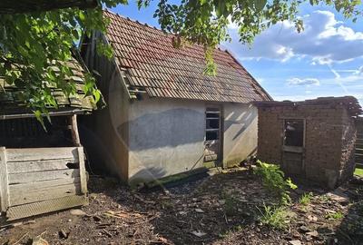Casa  cu livada 2880 mp in Adea la 4km de Chisineu-Cris - 14