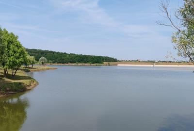 Teren intravilan -700 mp in Paleu, Bihor- intre padure si lac, cu PUZ aprobat - 8