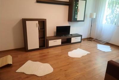 3 cam drumul taberei 8 min metrou raul doamnei - 2