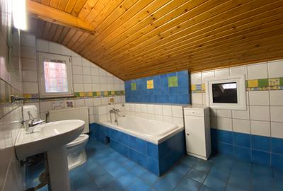 Lovely house with private pool in Herastrau - 12