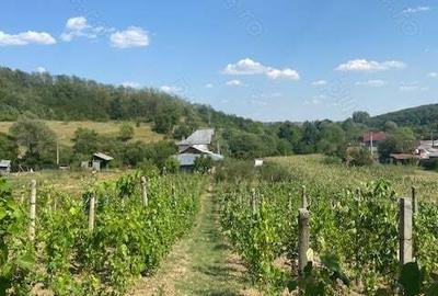 Casă cu 5 camere în Carcadiești - 5