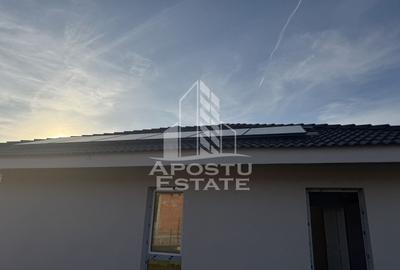 Casa individuala in Petrovaselo - 10