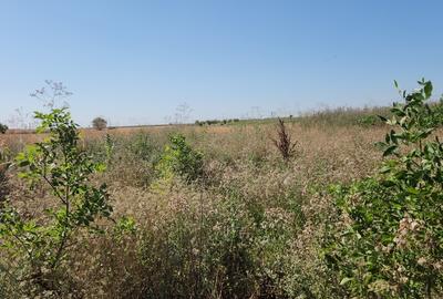 Frumusani, Pasarea, stradal DJ, ideala investitie, intravilan - 10