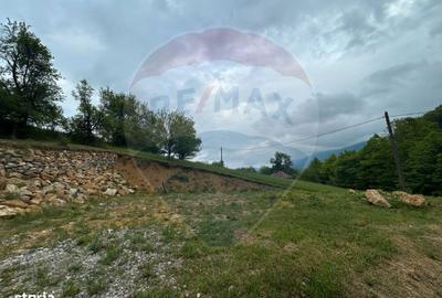 Spațiu comercial, în Copalnic - 5