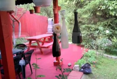 Casă cu 2 camere cu Teren 1153 Mp în Aurel Vlaicu - 3