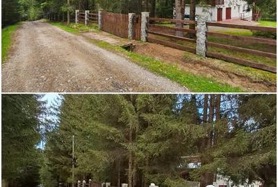 Casă cu Teren 2000 Mp în Dealu Negru - 2