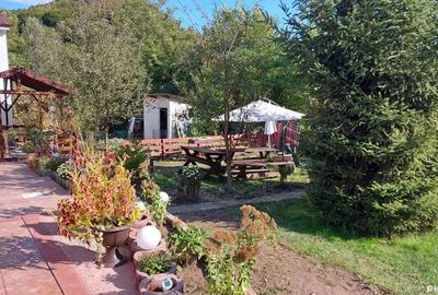 Casă în Ocnele Mari - 8