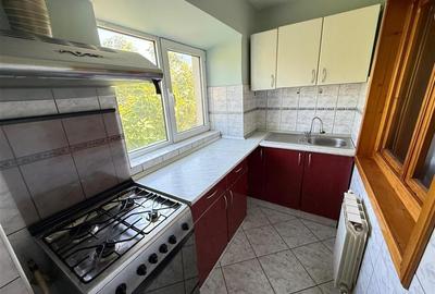 APARTAMENT 2 CAMERE STR.CARPATI - 7