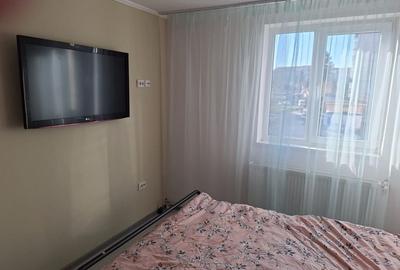 Apartament cu 2 camere în Slătinioara - 3