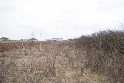 Teren Construcții intravilan de 982 mp, în Varlaam - 4
