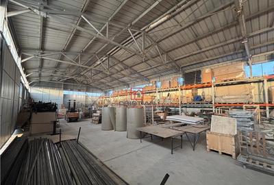 Spațiu comercial, de 1,630 mp, în Bolintin-Deal - 6