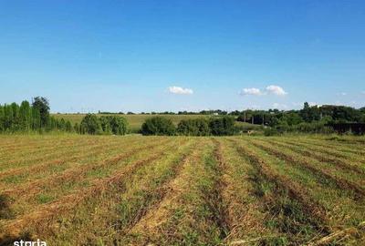 Teren de 3400 mp, în Adunații-Copăceni