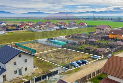 Teren 621mp Harman, Dimitrie Cantemir - Toate Utilitatile... - 7