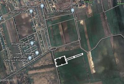 Corbeanca - Tamasi, intravilan, 16562 mp, deschidere 93 m, rezidential! 	Corbeanca - Tamasi, intravilan, 16562 mp, deschidere 93 m, rezidential! - 6