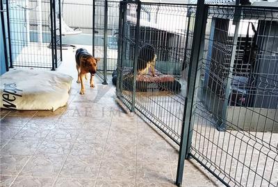 Casă cu 3 camere cu Teren 400 Mp în Tomești - 8