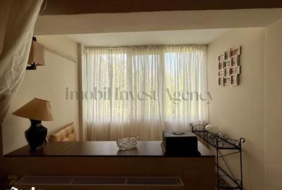 Apartament cu 2 camere, mobilat în Dămăroaia - 9