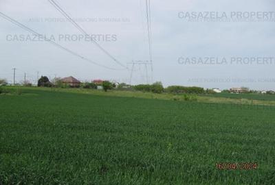 Teren extravilan, com. Frumusani, Calarasi - 3