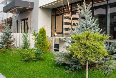 CORTINA NORTH-3 CAMERE - 2