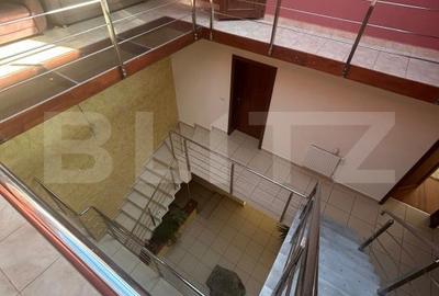 Casă cu 6 camere cu Teren 3982 Mp în Remetea Mare - 4