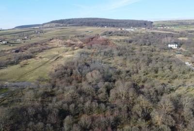 Teren agricol extravilan de 20146 mp, în Dâmbul Rotund - 11