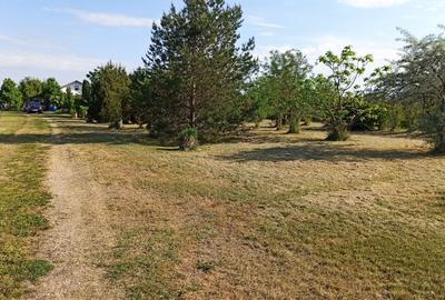 Teren de 50000 mp, în Zorile - 6