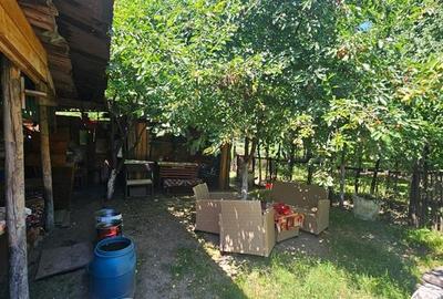 Casa clasica posibilitate extindere, Codlea, Brasov: Tur Virtual - 3
