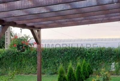 Casă cu 2 camere cu Teren 2324 Mp în Moșneni - 4