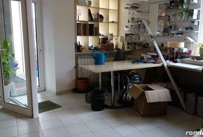 Casă cu 6 camere cu Teren 400 Mp în Pache Protopopescu - 14