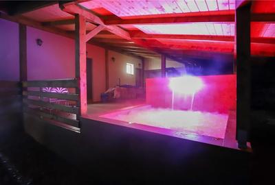 Cabana Ibanesti, locatie superba, Jacuzzi, 6 camere, - 3