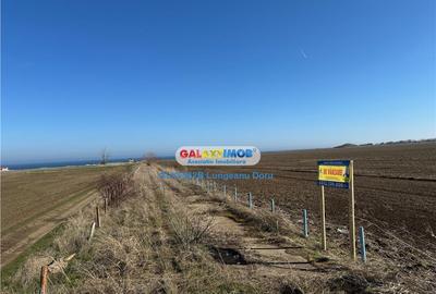 Teren intravilan 47.400 mp, Vama Veche, 200 m de Marea Neagr - 7