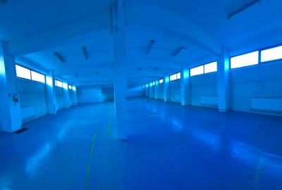 Hală modernă multifuncțională – 1.300 mp –Bucium, Iași- DE ÎNCHIRIAT - 13