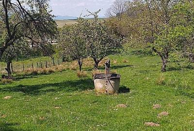 Casă în Finciu
