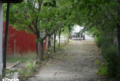 Casă cu 3 camere cu Teren 2350 Mp în Ciolpani - 10