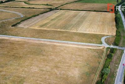 Teren Construcții intravilan de 1500 mp, în Moșnița Nouă - 7