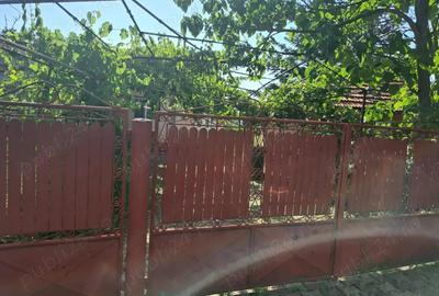 Casă cu 5 camere cu Teren 7900 Mp în Pleșcoi - 5