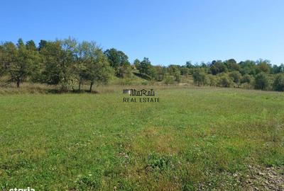 Teren de 8757 mp, în Luncoiu de Jos - 7