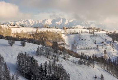 Teren de 2969 mp, în Măgura - 1